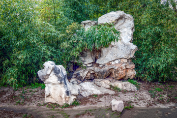 北京陶然亭公园海棠花（9）2026-04-02 b