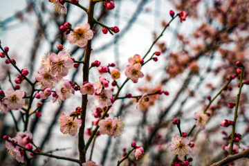 北京明城墙遗址公园（6）2026-03-17 c