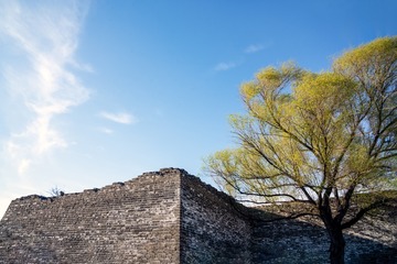 北京明城墙遗址公园（10）2024-3-22 f