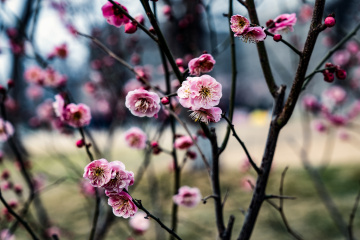 北京明城墙遗址公园（9）2026-03-17 f