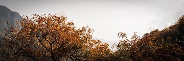 北京坡峰岭（19）2024-10-21 e