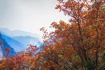 北京坡峰岭（14）2024-10-21 a