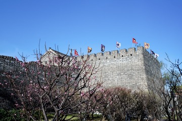 北京明城墙遗址公园（11）2024-3-22 b