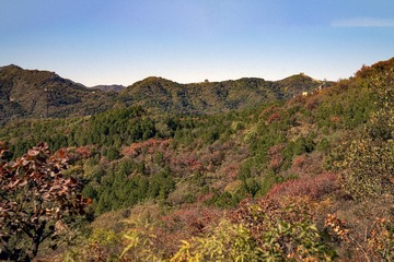 北京八达岭森林公园（17）2024-10-10 e