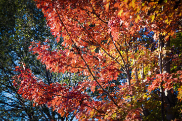 北宫森林公园（17）2025-10-20 f