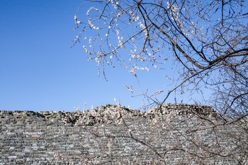 北京明城墙遗址公园（6）2024-3-22 e