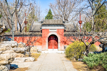 颐和园西堤（7）2026-03-20 c