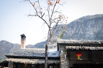 北京坡峰岭（6）2024-10-21 b