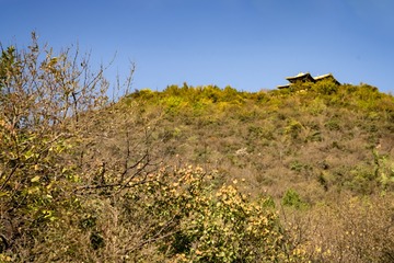 北宫森岭公园（12）2024-10-19 d