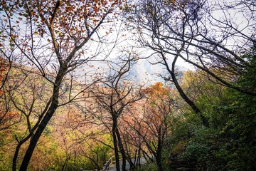 北京坡峰岭（19）2024-10-21 d
