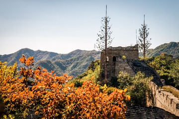 北京八达岭森林公园（18）2024-10-10 c
