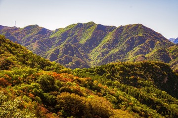 北京八达岭森林公园（15）2024-10-10 d