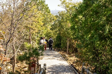北宫森岭公园（15）2024-10-19 f