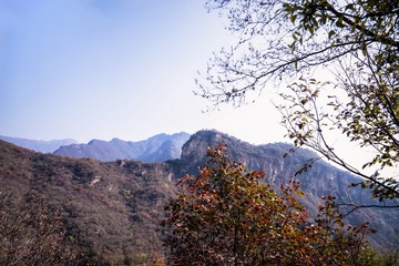北京坡峰岭（18）2024-10-21 a