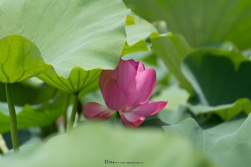 未命名-098