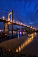 TZP_2679