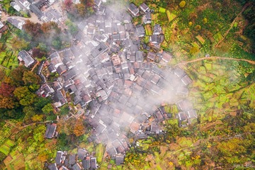 DJI_0635