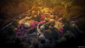 DJI_0873