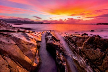 海潮秋打梅沙石，空雾飞香金芙蓿