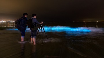 浅浅荧光海，淡淡星河来