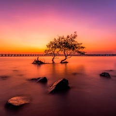 日暮溪亭，孤树远汀