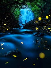 水潺林愈静，萤流山更幽