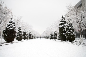 _IMG0360