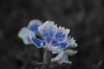 _IMG0042