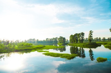 _IMG0048