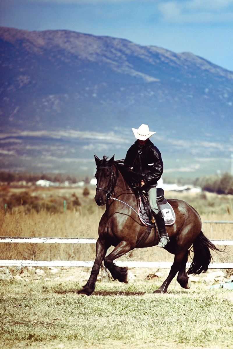 雪山下的弗里斯兰 - 行者-在浪 - 图虫