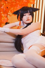 DSCF6449
