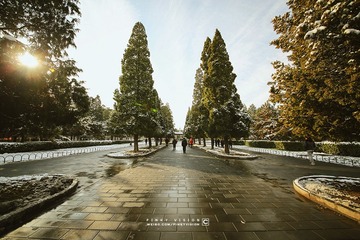IMG_9469 版权