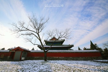 IMG_9488 版权