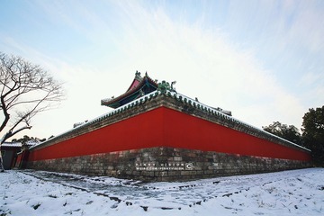 IMG_9496 版权