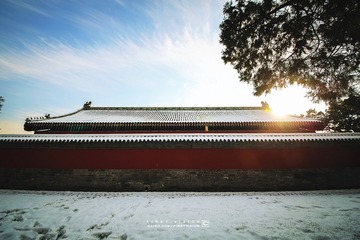 IMG_9511 版权