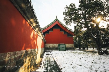 IMG_9515 版权