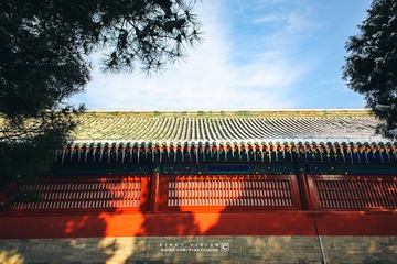 IMG_9528 版权