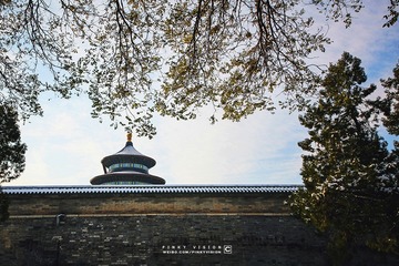 IMG_9535 版权