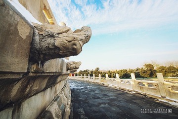 IMG_9559 版权