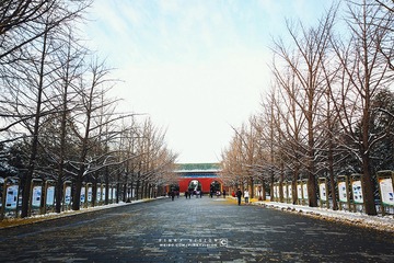 IMG_9700 版权