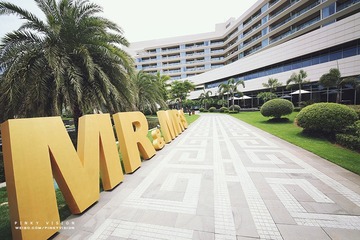 IMG_8022 版权