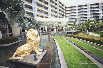 IMG_8020 版权