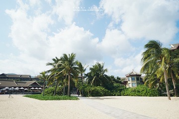 DSC04891 版权