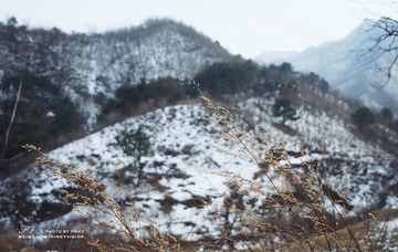 DSC06378 版权