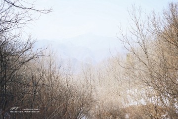 DSC06402 版权