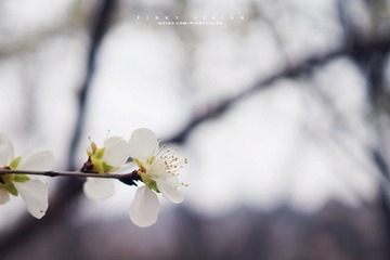 DSC06659 版权