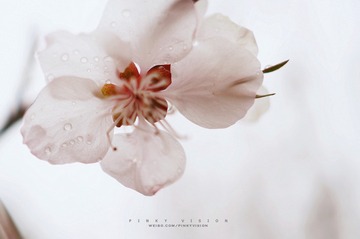 DSC06813 版权