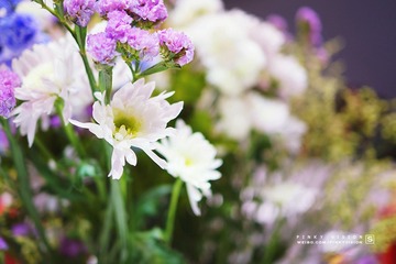 DSC06918 版权