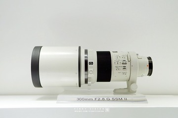 DSC06923 版权