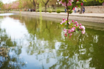 DSC07063 版权